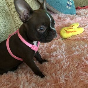 Meet your Posher, Cheryl